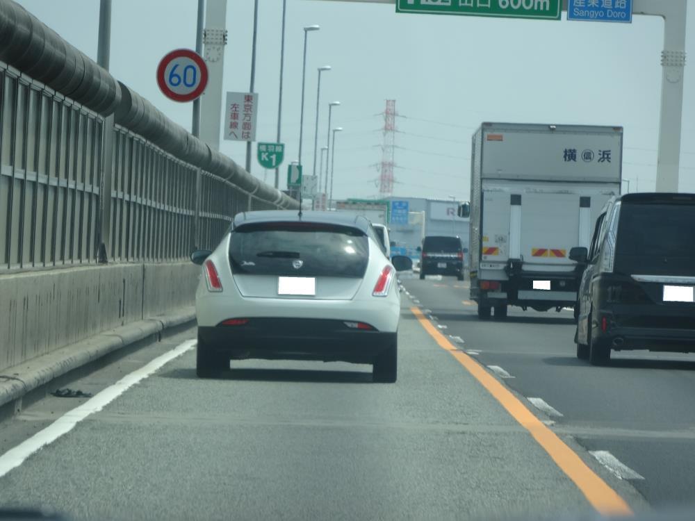 DSC00559 - コピー.JPG